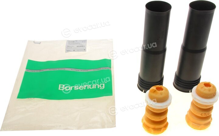 Borsehung B10026