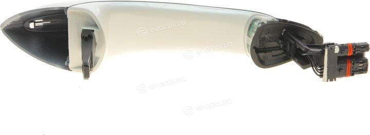Solgy 305071