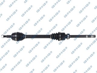 GSP 203969