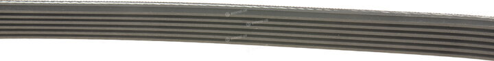 Gates 6PK923