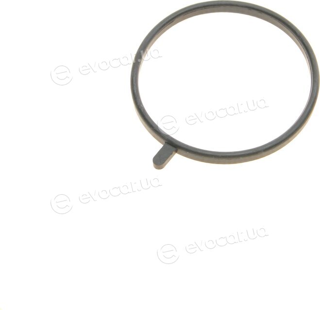 FA1 KT220260