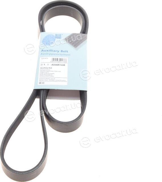 Blue Print AD06R1435
