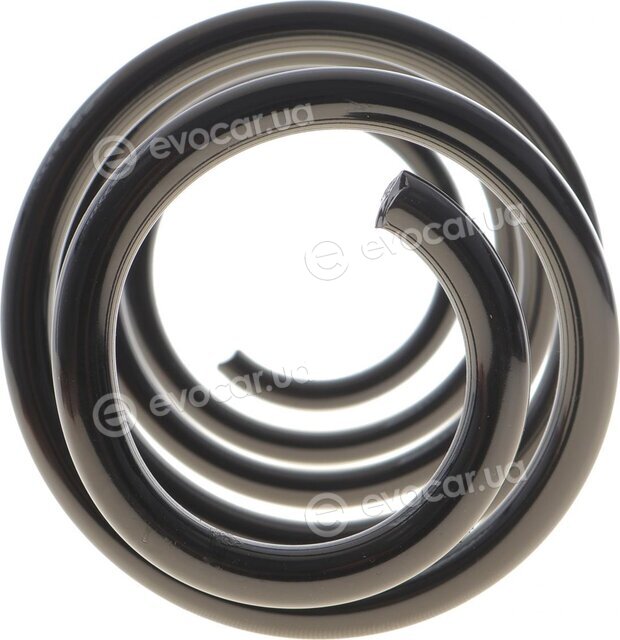 Solgy 212156