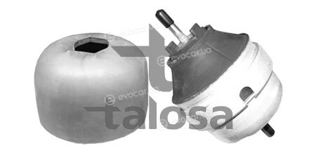 Talosa 61-05308
