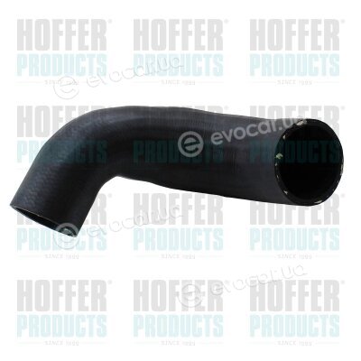 Hoffer 961184