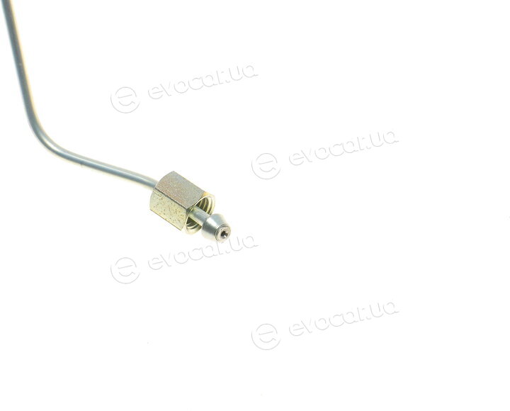 Rotweiss RW07033