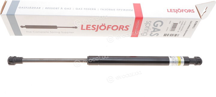 Lesjofors 8108411