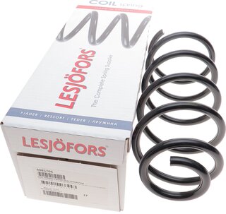 Lesjofors 4085706