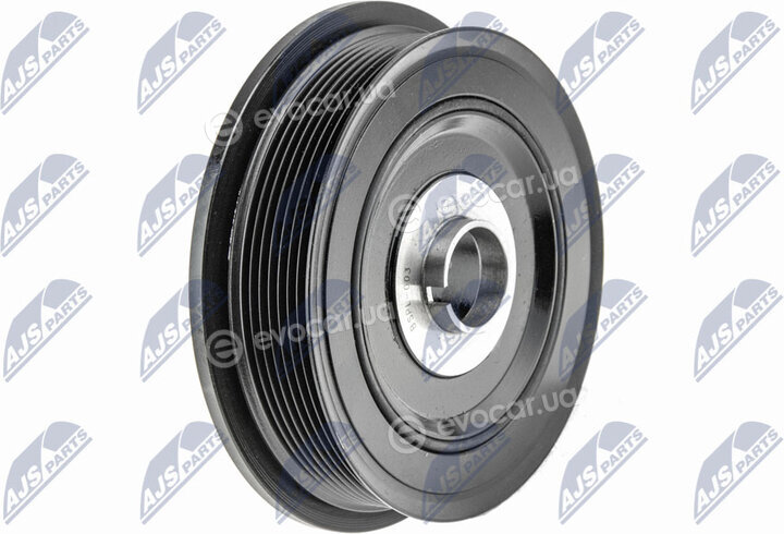 NTY RKP-PL-003