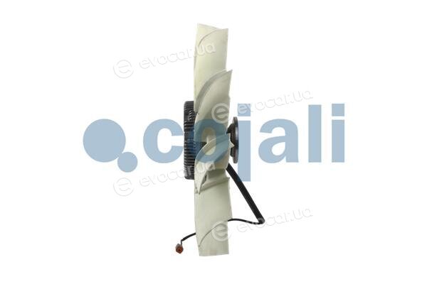 Cojali 7075408