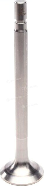 AMP PMER018-A-0-N