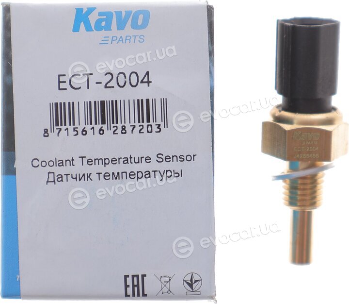 Kavo ECT-2004