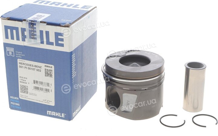 Mahle 001 PI 00107 002