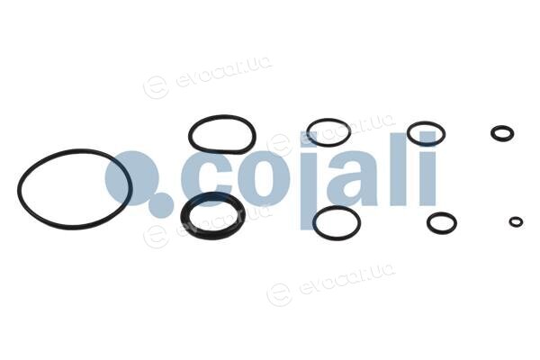 Cojali 6032120