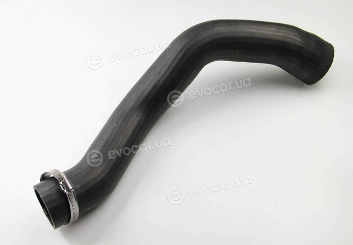 Rapro R25297