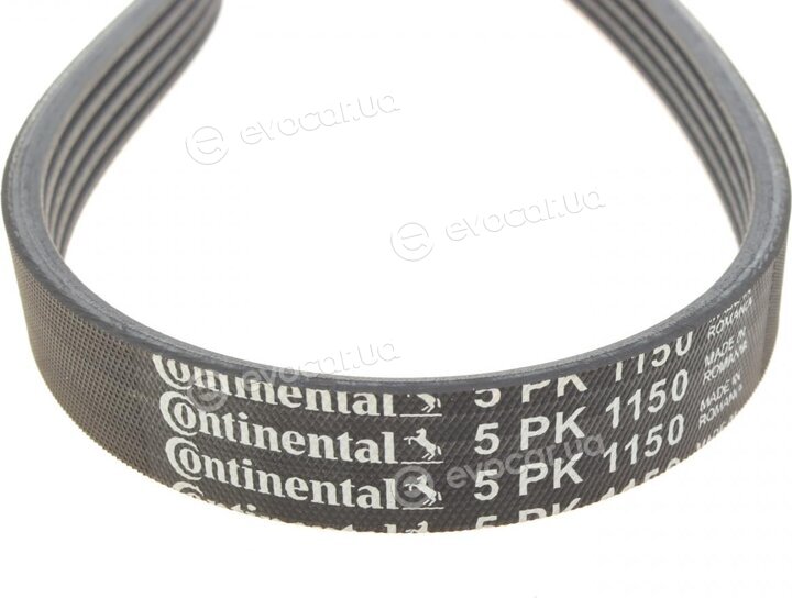 Continental 5PK1150K1