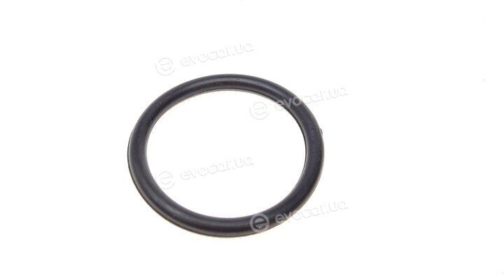 Blue Print ADG02329