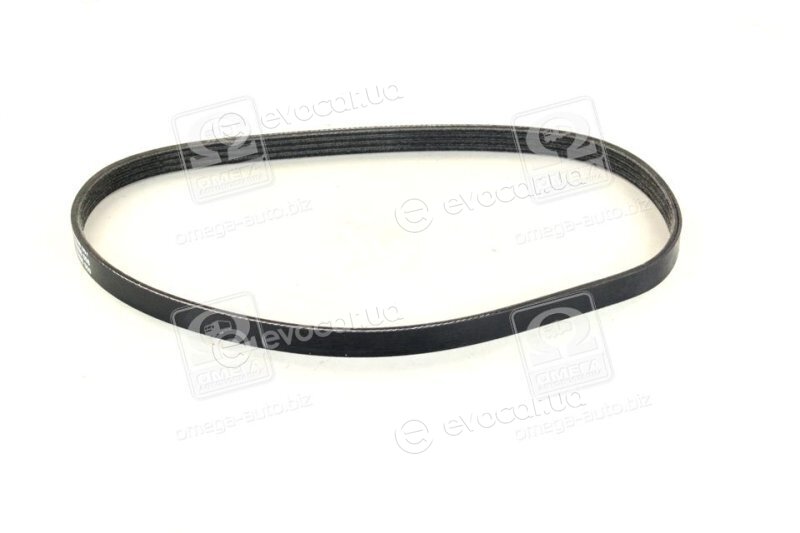 Dayco 4PK725