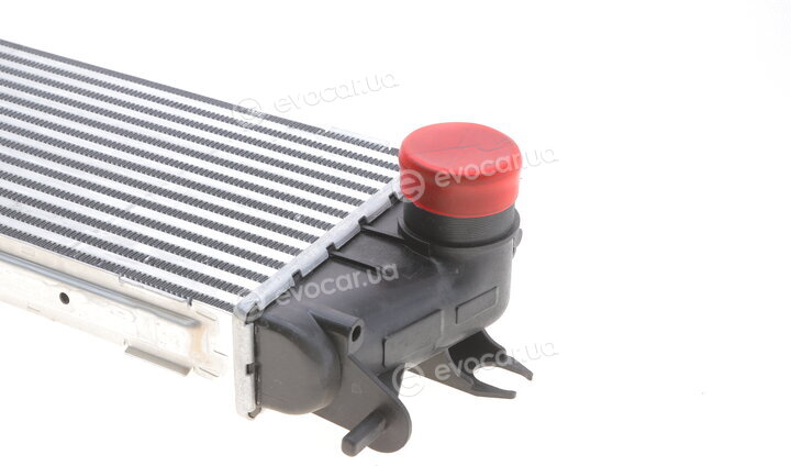 Van Wezel 43004456