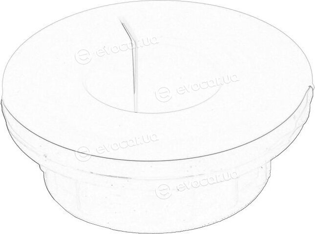 Mopar (PSA / FCA) 504039506