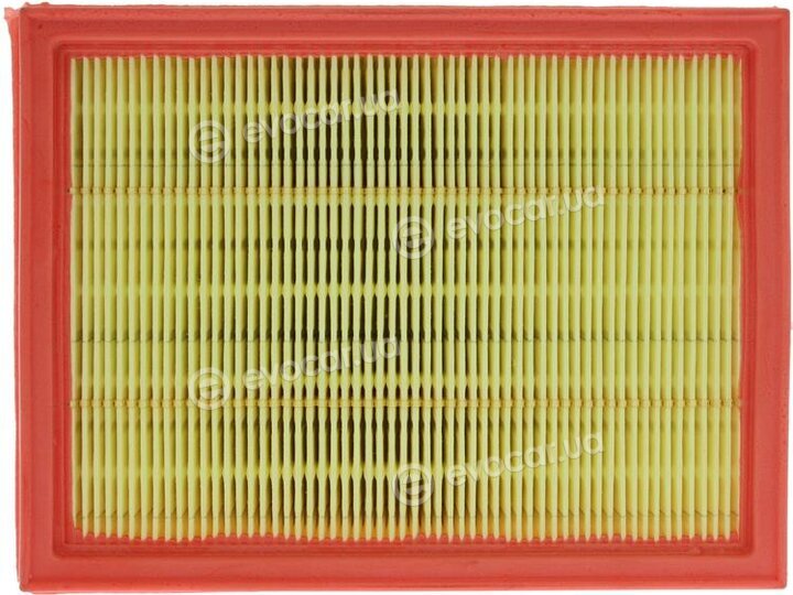 Starline SF VF7543