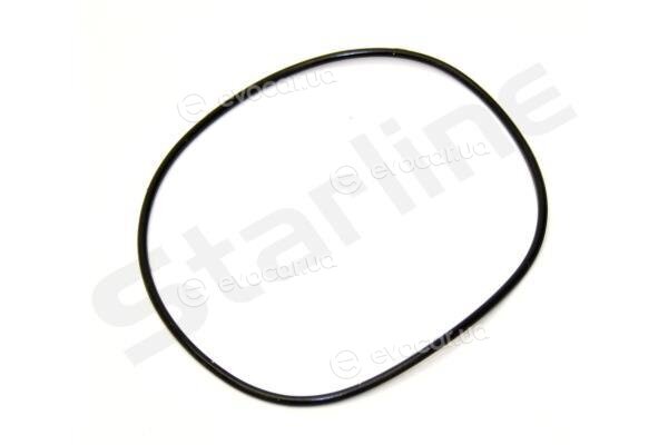 Starline VP FI179