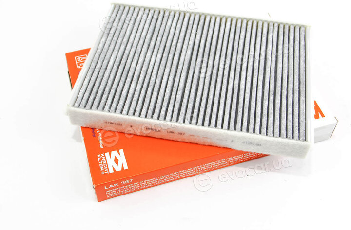 Mahle LAK 387