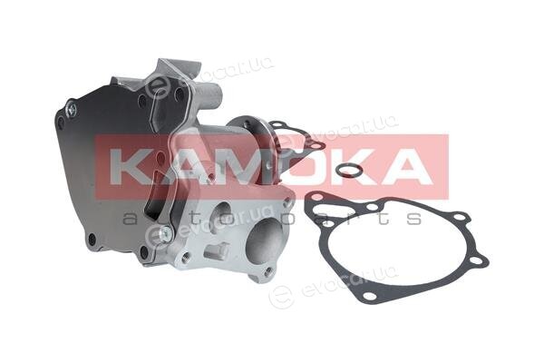 Kamoka T0161