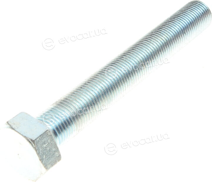 Solgy 216158