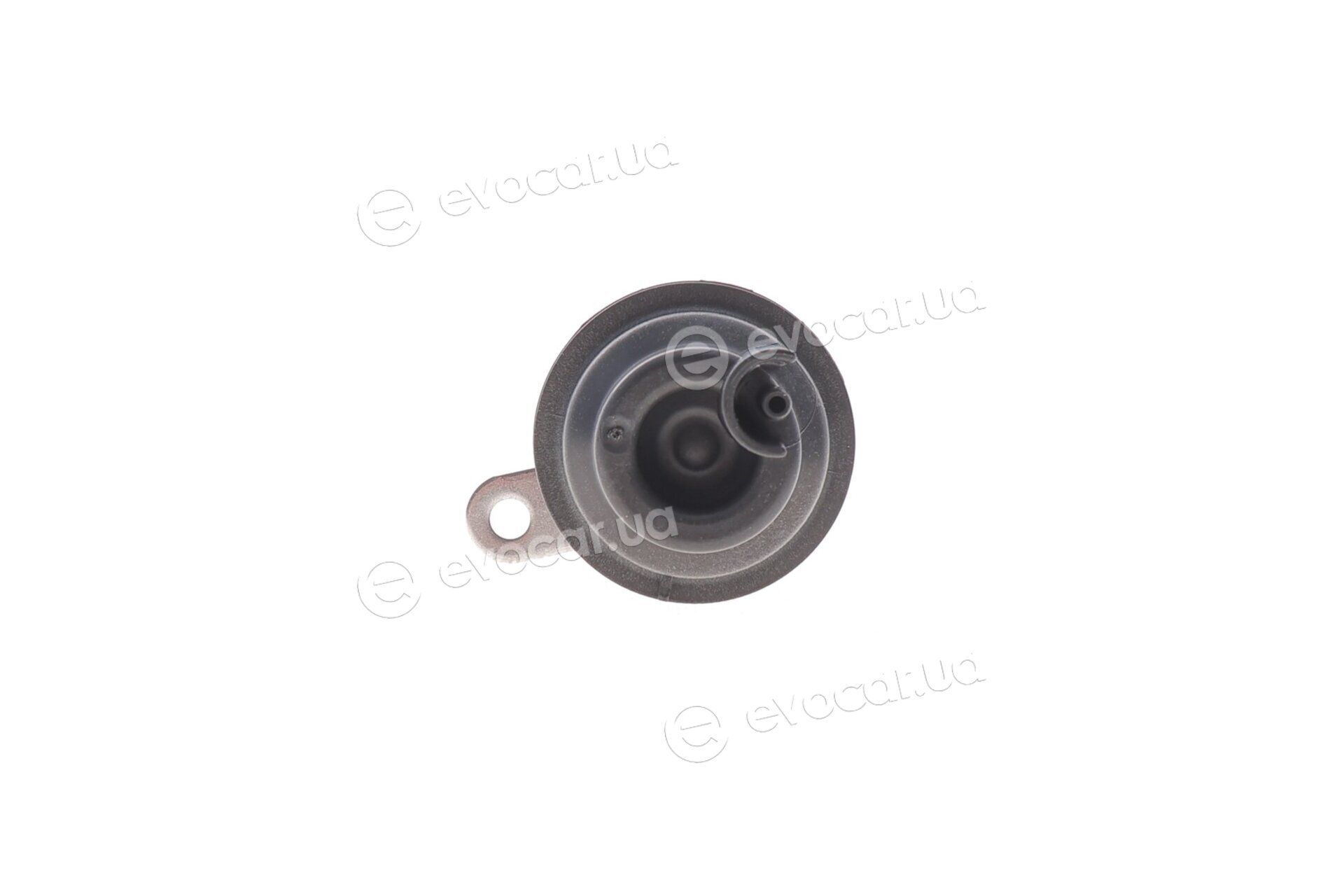 BMW / Mini 11518638026