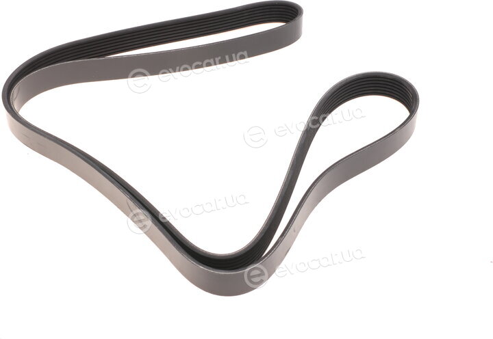 Dayco 7PK1809