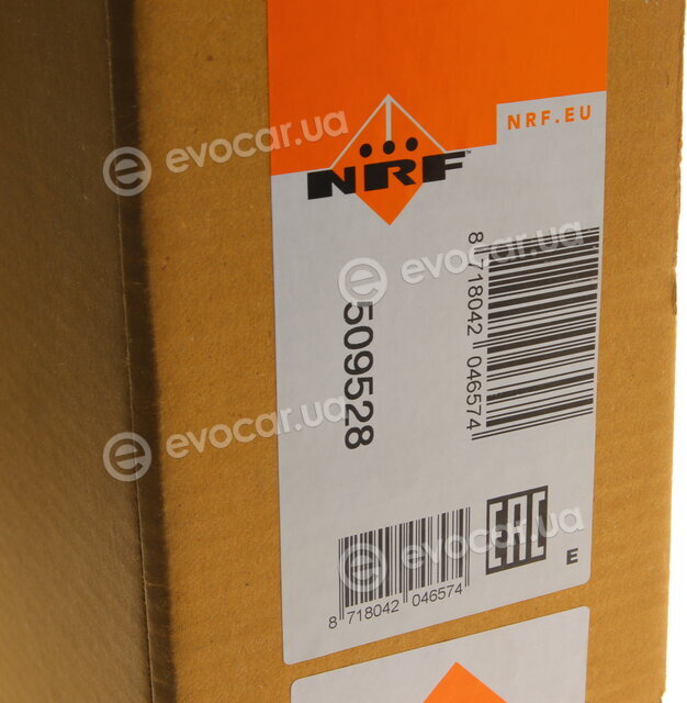 NRF 509528