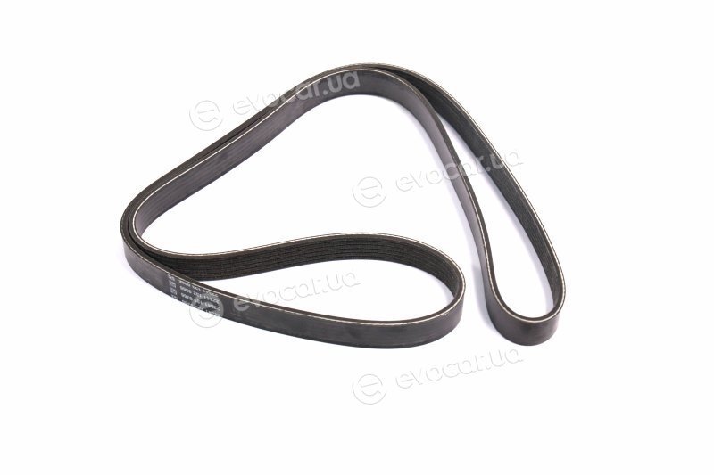 Dayco 6PK1515HD