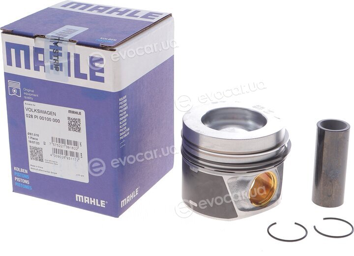 Mahle 028 PI 00100 000