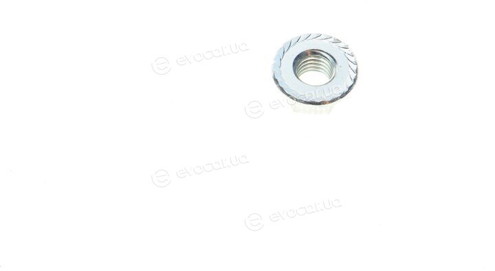 Solgy 203091