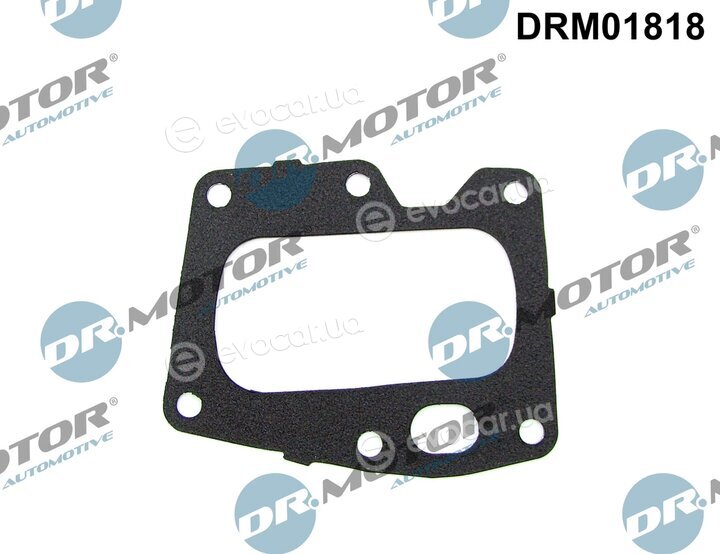 Dr. Motor DRM01818