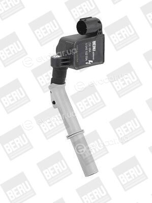 BorgWarner ZSE094