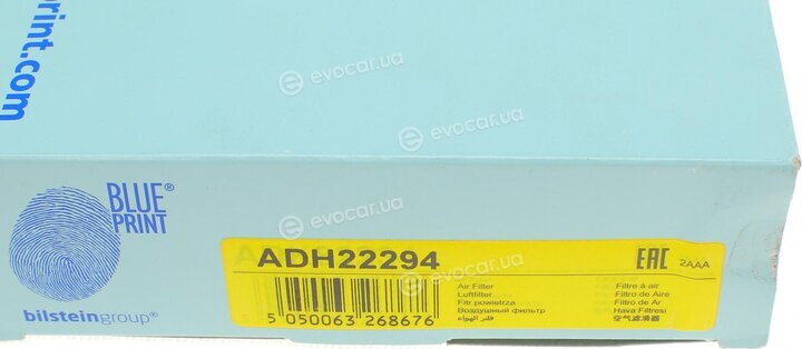 Blue Print ADH22294