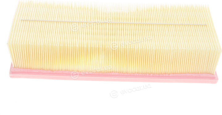 Solgy 103054