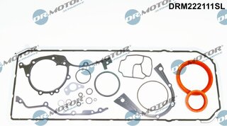 Dr. Motor DRM222111SL