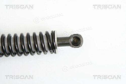 Triscan 8710 29264