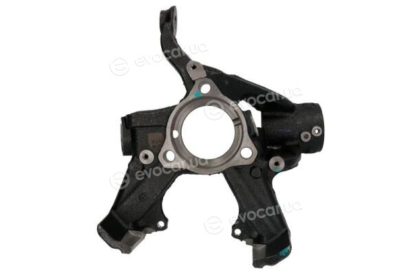 Reinhoch RH08-0062