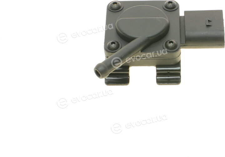 AIC 56096