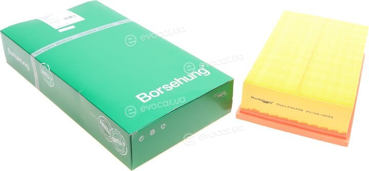 Borsehung B10537