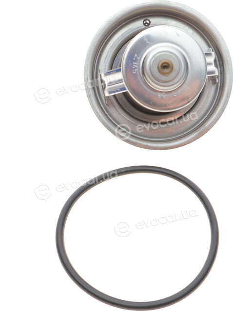 Mahle TX 30 80D