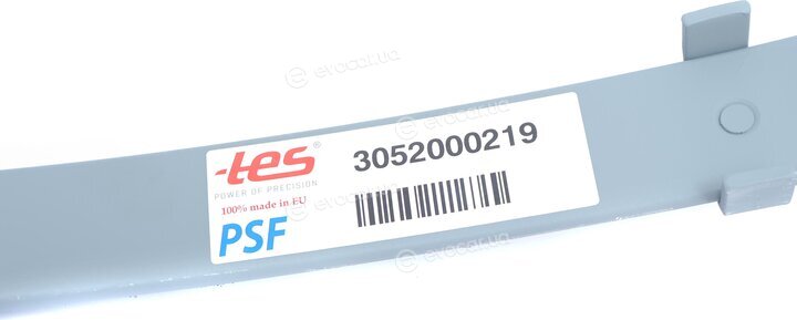 TES 3052000219