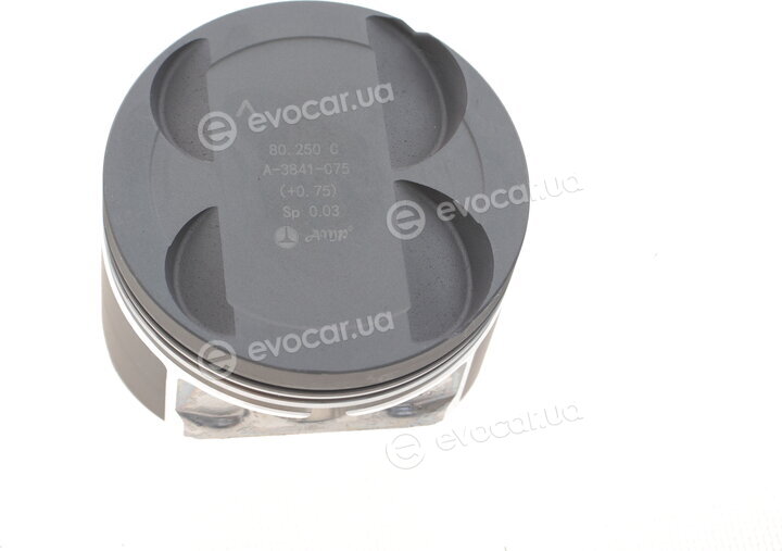 AMP PX-REN-4A-3841-075-C