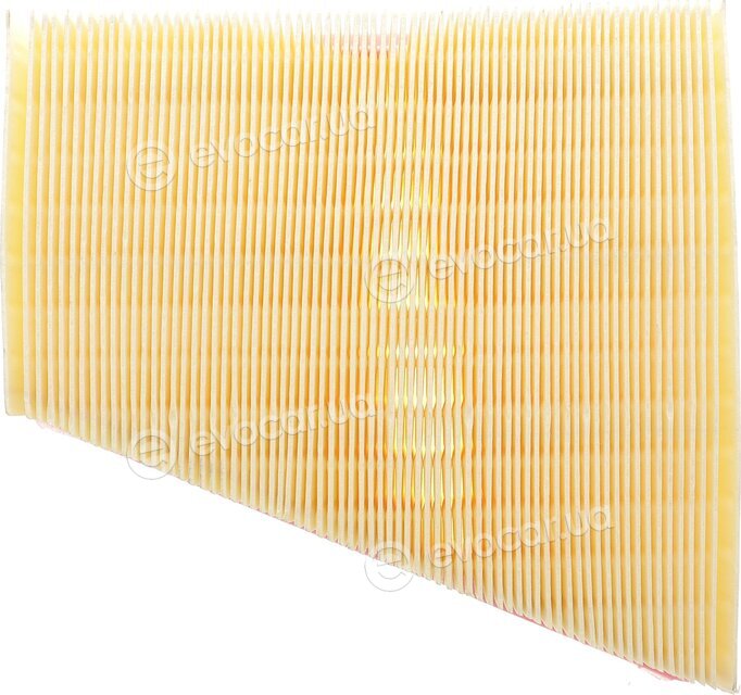 Solgy 103142