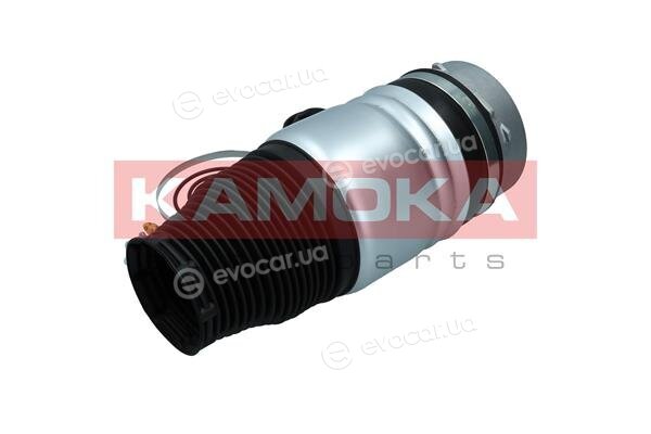 Kamoka 2079008