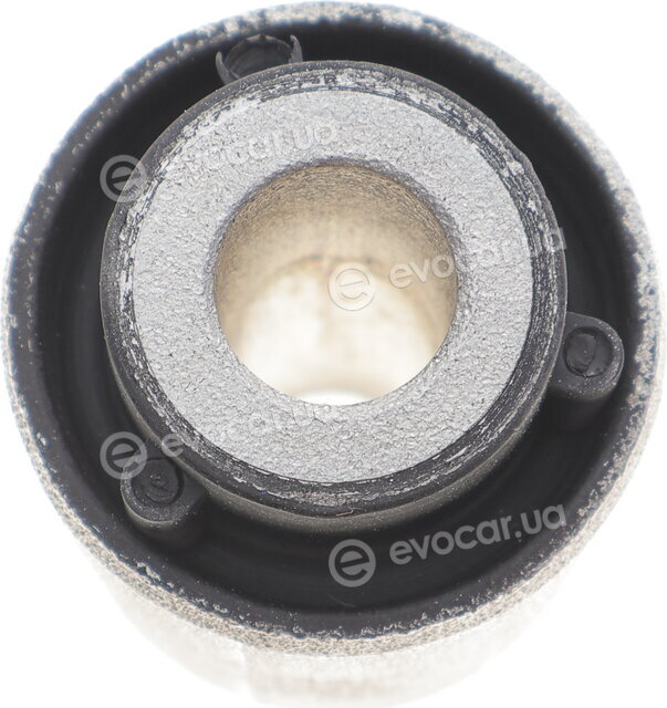 SKF VKDS 438503